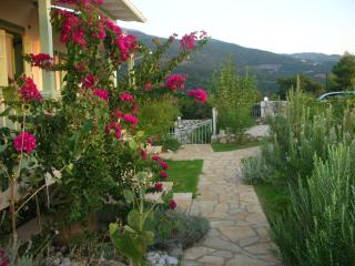 Deep Blue - Agios Nikitas - 2
