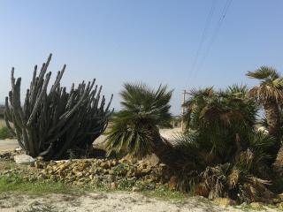 Agriturismo sanacore di sanacore salvatore - 4