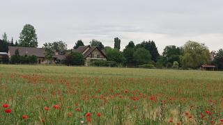 GITE DU CLOS PAISIBLE - Jebsheim - 9