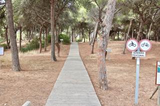 Apartamento Playa y Bosque - Rota - 4