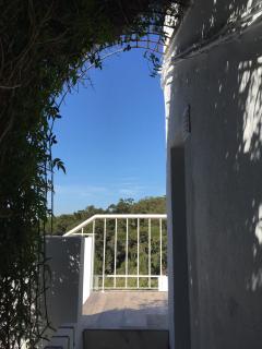 Casa do Jasmim - Sintra - 7