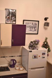 Comfortable Flat in Central Tbilisi - Tbilisi - 9