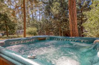 Bear's Den - Idyllwild - 0