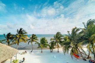 Caribe Island 1 Bedroom #20 - San Pedro - 5