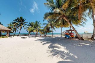 Caribe Island 1 Bedroom #20 - San Pedro - 2