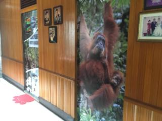 Arut Riverside Guesthouse - 0