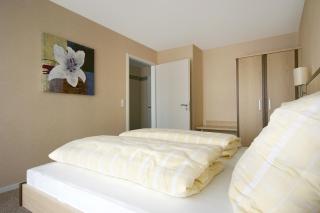 Alm Appartements ehemals Birkenhof - Willingen - 4