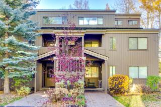 Bridgepoint Condo on Trail Creek - Ketchum - 7
