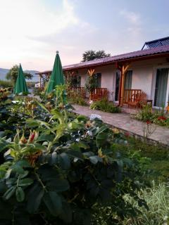 Pensiunea Poezii Alese - Valea Drăganului - 5