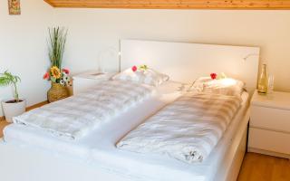 Ferienhaus Mountain View - Spital am Pyhrn - 1