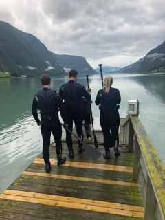 Skjolden Hotel - Skjolden - 3