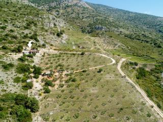 Robinson Orpheus - 7