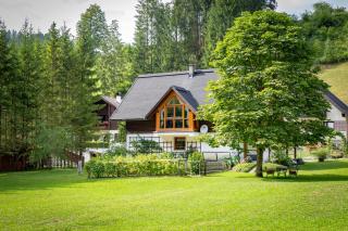 Ferienhaus Göstling - 1