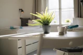 Apartments in Mala Strana - 10 minutes from Charles Bridge - Praga - 1