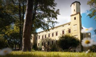 Zamek Dobroszyce - Dobroszyce - 1