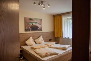 Haus Madeleine - Neustift im Stubaital - 1