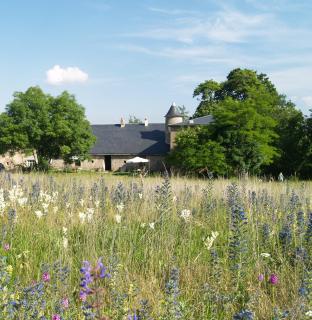 Domaine De Pradines - Lanuéjols-Gard - 5