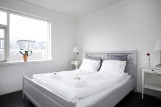 Day Dream Laugavegur Downtown Apartments - Reykjavik - 5