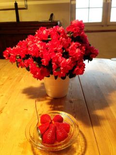 Guesthouse Les Mignardises - Uhwiesen - 7