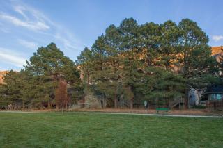 Oaks at Wasatch #8 - Cottonwood Heights - 9