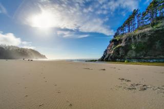 White Wing - Neskowin - 6
