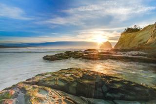 Darrs Beach Cottage - Neskowin - 2