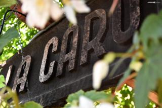 Carul cu Flori - Sibiu - 7