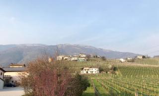 Casa Vacanze Ricca Vigna - Valdobbiadene - 2