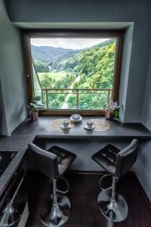Tampa Gardens Apartments - Adults Only - Brasov - 1