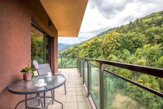 Tampa Gardens Apartments - Adults Only - Brasov - 0