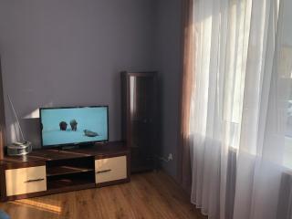 Apartament Leśne - 1