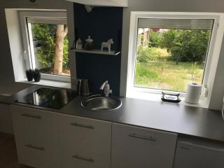 NIDALIVING Lakeview Apartment with Terrace - Nida - 6