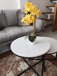 Apartments and Rooms Distecon - 1