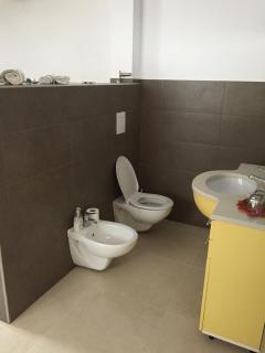 Casa de Vacanta Saru Dornei - 3