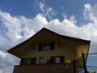 Wohnung Wohlensee - Hinterkappelen - 9