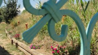 Villa Primaluce - Pizzo - 7