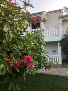 Villa Olive Grove Ferienhaus in Kroatien direkt am Meer nahe Zadar und Nin - 7