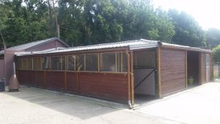 King of Gold Stables appartement met stalling voor 5 paarden - Zutendaal - 3