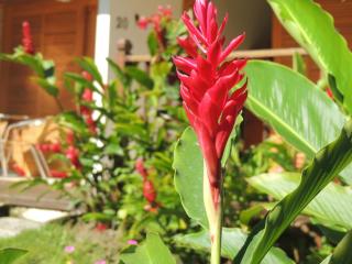 Recanto da Praia - Parati - 4