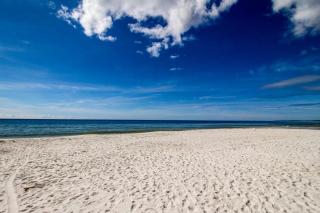 Paradise Shores #110 - Mexico Beach - 9