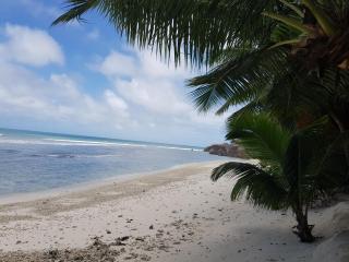 Anse Kerlan Beach Chalets - Anse Kerlan - 9