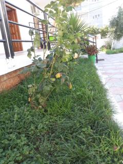 Guesthouse Sueda - Ksamil - 1