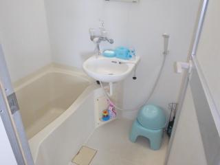 Umi no Nakama - Isola di Ishigaki - 9