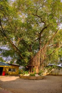 Hidden Hill Hotel - Mactan - 6