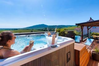 Le Panoramic & Spa - Itterswiller - 8