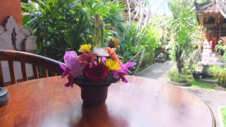 Leket house - Ubud - 0