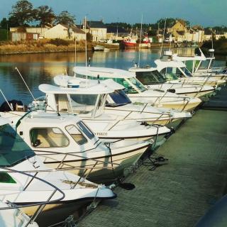Les Sauges - Isigny-sur-Mer - 2