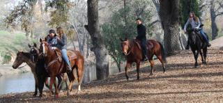 Z Ranch - 9