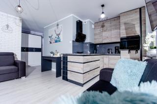 BLUE SEA APARTAMENT Leśne Tarasy - Dziwnówek - 9