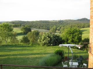 Agriturismo Santa Maria - Torrita di Siena - 5